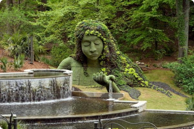 Atlanta botanical garden 2
