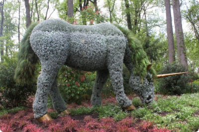 Atlanta botanical garden 4