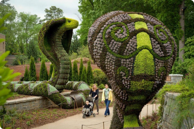 Atlanta botanical garden 7