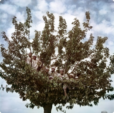 Capa 2