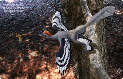 Csotonyi Paleo1