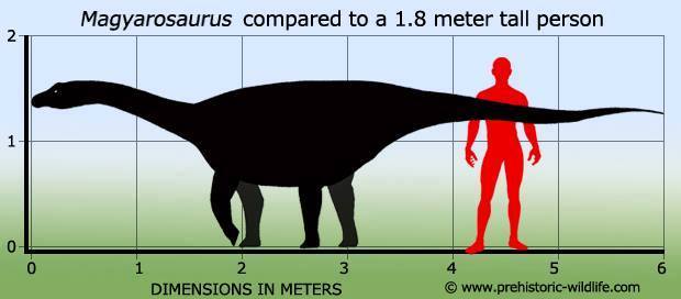 MayarosaurusDacus drawing