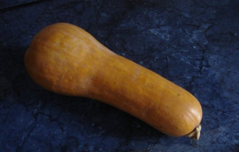 sutotok